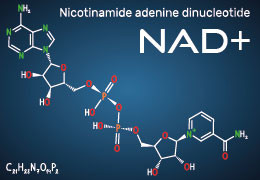 NAD+ IV Therapy: The Future of Anti-Aging? | Discover the Latest Research and Benefits